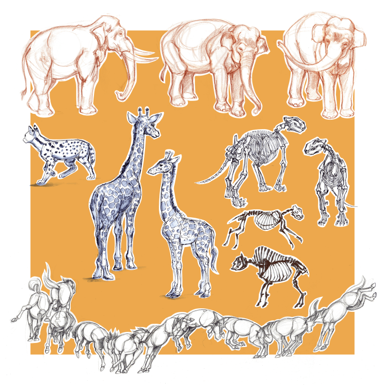 Portfolio pages 2-resize